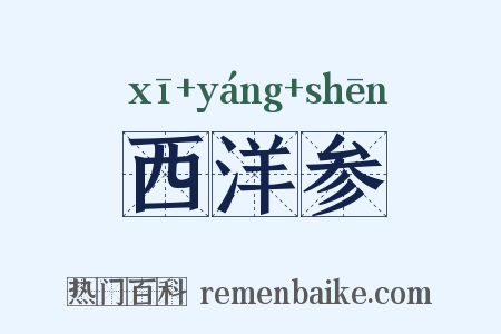 西洋参是什么意思的图片